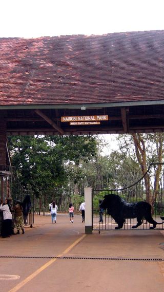 ケニア ナイロビ国立公園＋キリン＋ゾウの孤児院/博物館 送迎付き