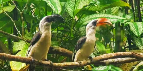 新加坡親子遊:科學館+河川生態園+夜間動物園包車一日遊