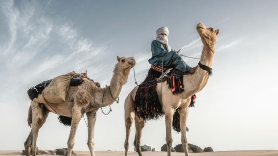 Kamelritt-Wüstentour in Marsa Alam mit Blick auf das Rote Meer