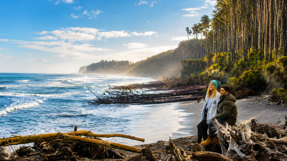 West Coast Sightseeing Bus from Queenstown/Wanaka to Fox Glacier, Franz Josef Glacier, and Greymouth on New Zealand's South Island