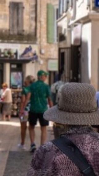 1-day tour to Saint-Remy-de-Provence + Les Baux-de-Provence + Arles old town in France | Following Van Gogh's footsteps