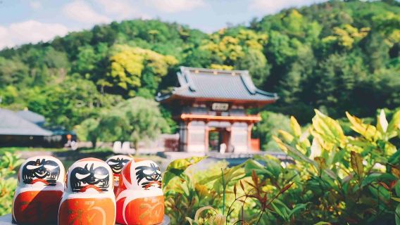 Osaka Miroku-ji Tapınağı + Kyoto Arashiyama + Miyama Çiftlik Köyü Bir Günlük Tur