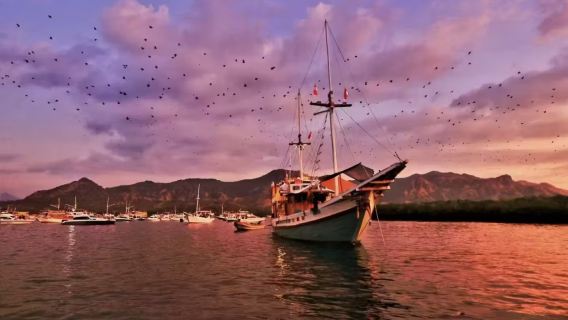 Komodo classic sunset cruise | 3-island visit + island hiking + secret coral snorkeling spot