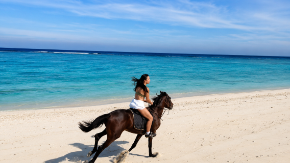Gili Trawangan: Horseback Ride with Photo & Video Assistance