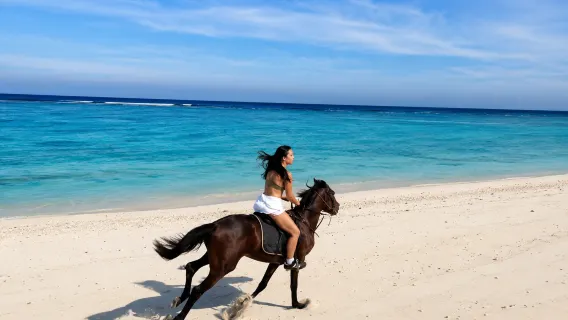 Gili Trawangan: Horseback Ride with Photo & Video Assistance