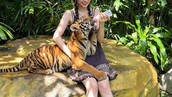 [Safe and Secure Selection] Bangkok Safari World Day Trip: Tickets + Optional Lunch + Private Car Tour