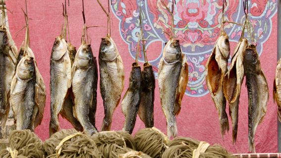 Private tour to Hongcun village and Tunxi old town with Lunch from Huangshan