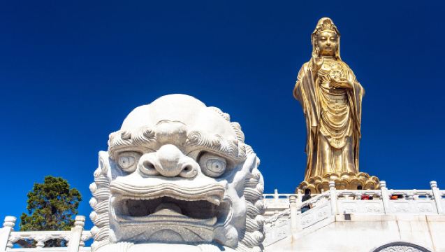 【今舟細說】導遊急單找我！普陀山、珞珈山，舟山、觀音法界、南海觀音、普陀印象、周邊深度人員導覽