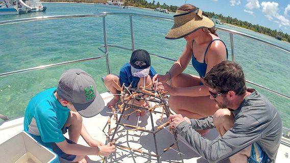 Punta CanaExperiences