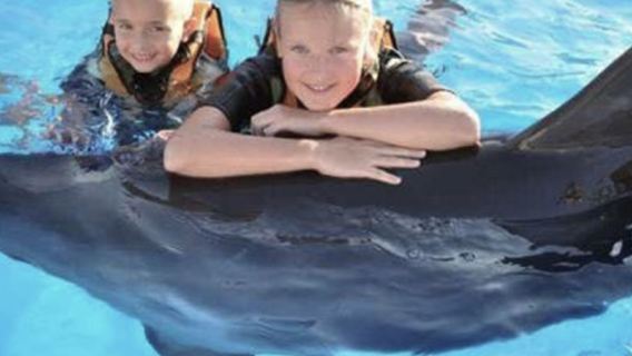 Egypt Red Sea Hurghada yacht out to sea Dolphin House snorkeling chase dolphins including lunch transfer