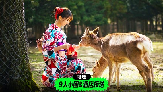 神戶日遊