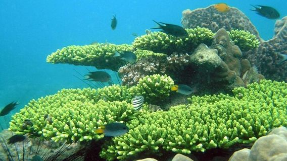 Phu Quoc IslandExperiences