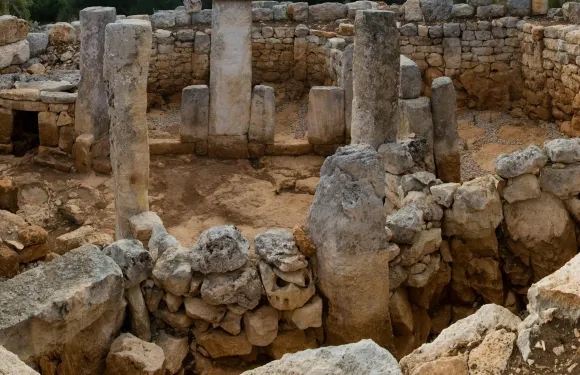 Torre d'en Galmés：入場門票成人