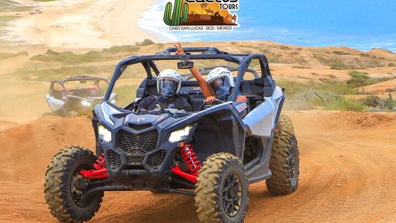 Cabo San LucasTours