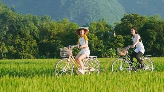 ハノイ発 マイチョウ終日ガイドツアー＋ランチ付き