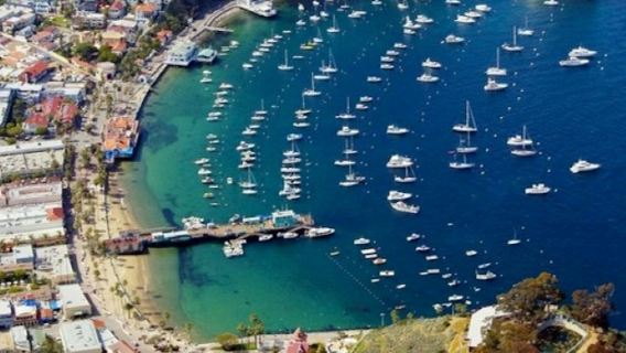 Pulau Catalina: Perjalanan Sehari + Tur Mengemudi dengan Pemandangan Indah