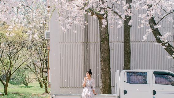 池州旅行写真【ドライバーとディレクター + 旅行写真撮影 + 結婚式の写真とマイクロフィルムの航空写真撮影 + メイクと衣料品&アクセサリー+ 旅程のカスタマイズ + 無料ネガ】