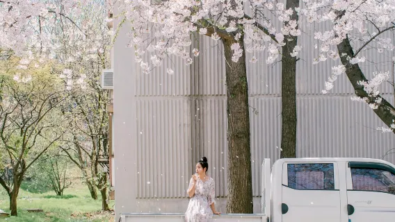 Chizhou Travel Photography[Driver and director + travel photography + aerial photography of wedding photos and micro-film + makeup and Clothes & Accessories+ itinerary customization + free negatives]