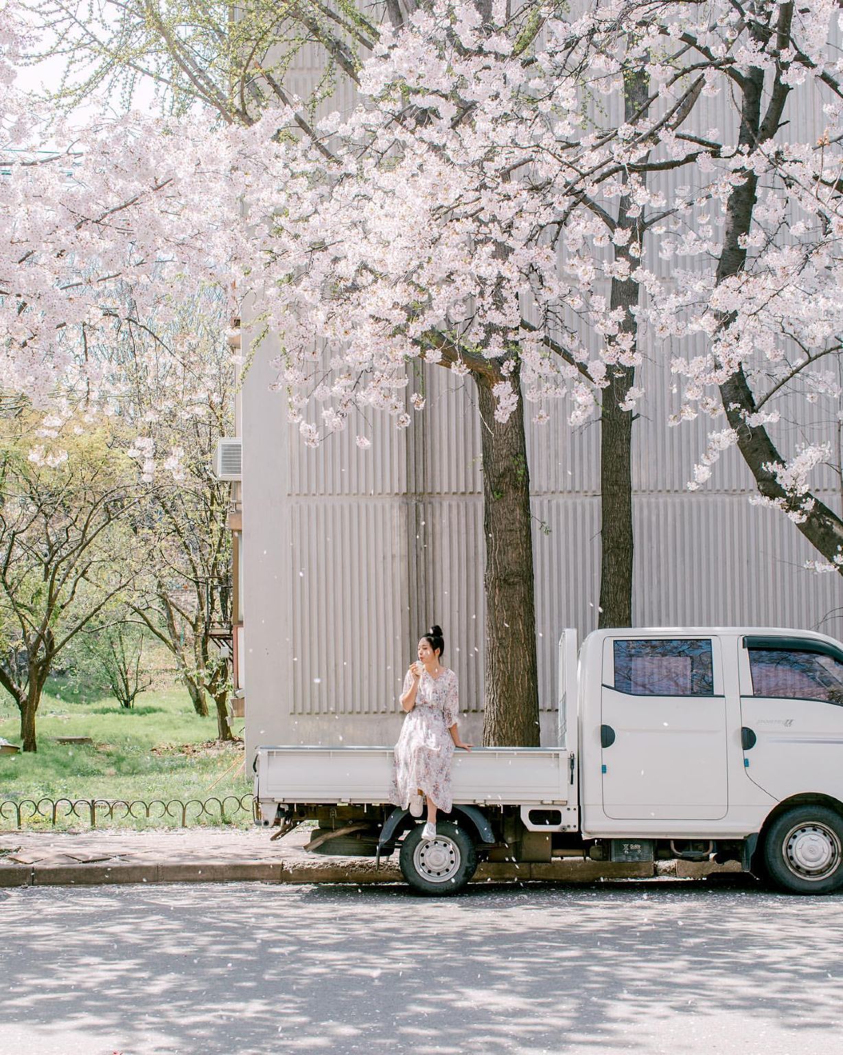 ฉือโจวท่องเที่ยวถ่ายรูป[ไกด์ส่วนตัวพร้อมถ่ายรูป+ถ่ายภาพแต่งงานด้วยโดรน+แต่งหน้าและชุด+ออกแบบทริป+ให้ไฟล์รูปทั้งหมด]