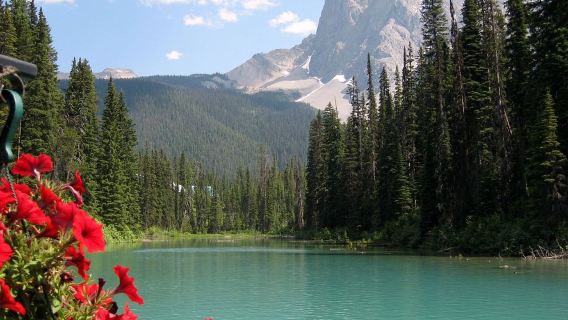 Canada [Winter Tour] Banff Highlights + English guide for Superb Natural Scenery 