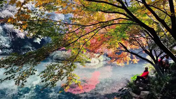 Hangzhou Nine Creeks half-day hiking tour [Nine Creeks and Eighteen Gullies fan painting + Longjing tea tasting + Eighteen Imperial Tea Trees]