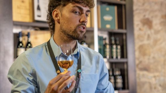 Porto City Tour Half-Day: Guided Visit with Wine Cellar and Tastings