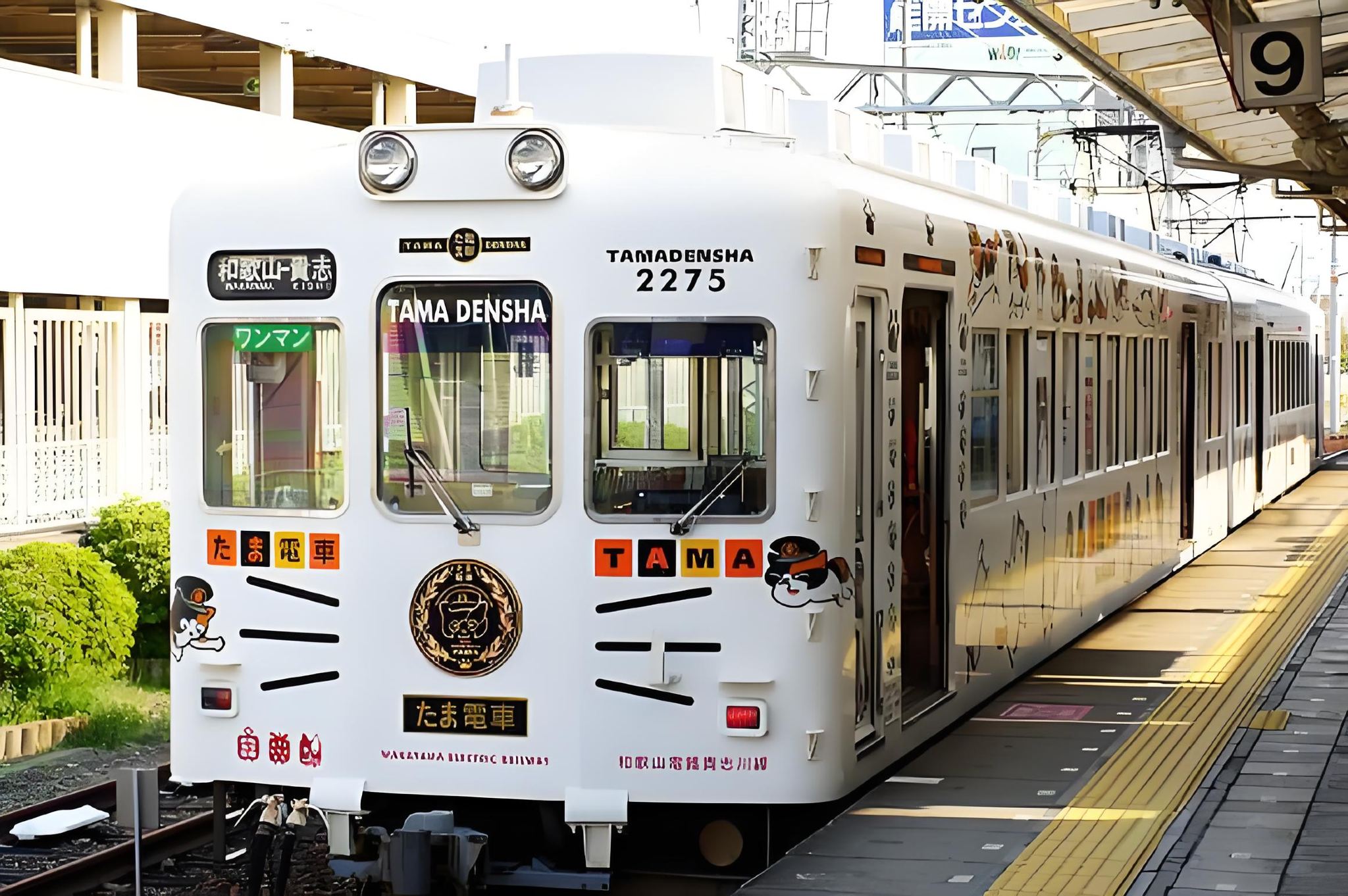 日本大阪出發：和歌山城+黑潮市場+貴志站+紀三井寺一日遊