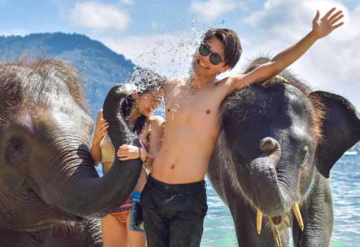 Phuket Lucky Beach: Swimming and Interaction Experience with Elephants
