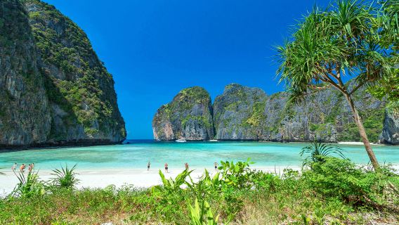 Phuket Phi Phi Island+Maya Bay+Pileh+Khai Island One day Trip By Power Catamaran in Thailand