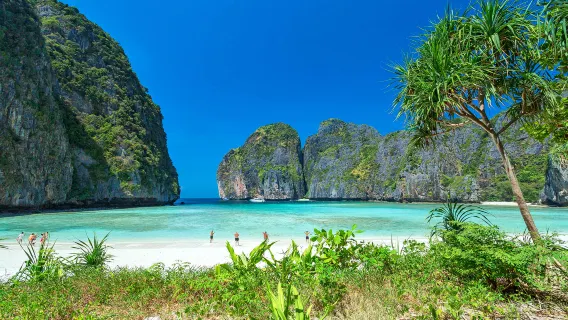 Phuket Phi Phi Island+Maya Bay+Pileh+Khai Island One day Trip By Power Catamaran in Thailand