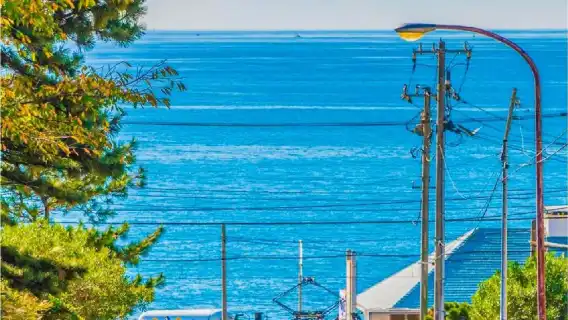 日本東京+鎌倉+鎌倉大學前站一日遊/行程可調-可客製化多日遊