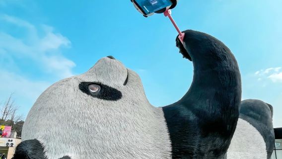 Wolong Panda Base + Dujiangyan Selfie Panda and Zhongshuge Bookstore Day Tour