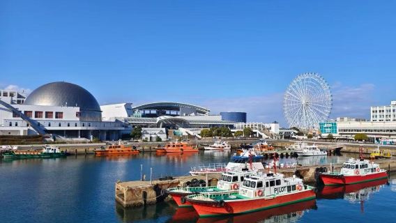 日本名古屋港水族館+樂高樂園一日遊【普通話司機/景點選任】