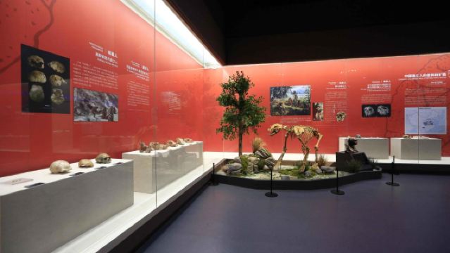 Lawatan sehari Ningbo Zhejiang lawatan sewa peribadi Muzium Tianyi Ge + Bandar Purba Cicheng + Tarikan Pelancongan Xikou-Tengtou