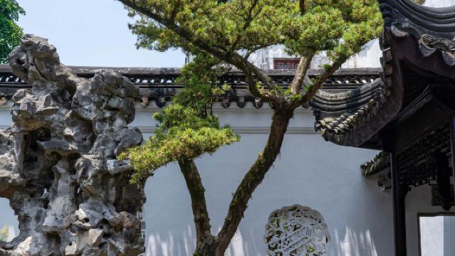 ทัวร์ 1 วันเหมารถในซูโจว ประกอบด้วย สวนจัวเจิ้ง + สวนป่าสิงโต + ถนนประวัติศาสตร์ของถนนปิงเจียง + เมืองเก่ามู่ตู่ บริการเป็นภาษาอังกฤษและจีน