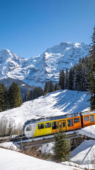Jungfraujoch - Top of Europe 1-day tour [comfortable bus/professional multilingual guide/includes 10% discount coupon for the outlet]
