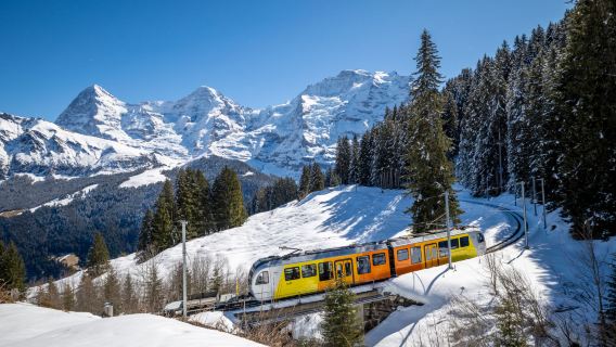 Tour di un giorno allo Jungfraujoch [Bus confortevole/guida professionale multilingue]