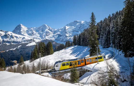 少女峰一日遊【舒適巴士/專業多語種導遊/贈奧特萊斯9折券】