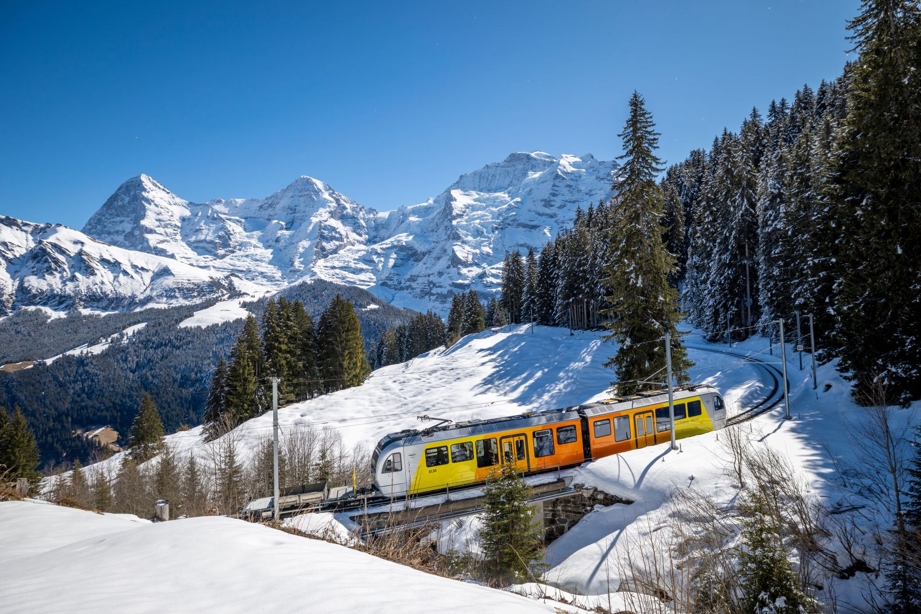 Jungfraujoch Day Tour: Solo Traveler Booking · Trilingual Guide · Flexible Pickup/Drop-off