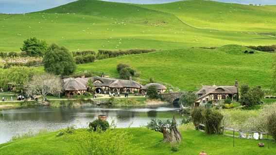 新西蘭霍比特村+懷託摩螢火蟲洞一日遊｜奧克蘭出發｜可小團｜包車