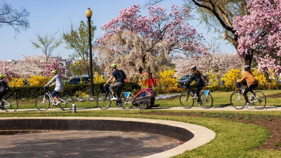 Washington DC: 3-Hr Monuments & Memorials Guided Bike Tour