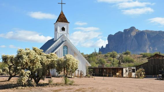 Phoenix/Scottsdale: Apache Trail Tour & Canyon Lake Cruise