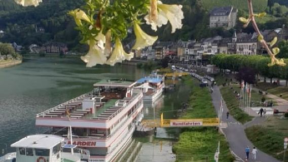 Cochem: Panorama Rundfahrt 1 Stunde, Ausstieg Ernst möglich