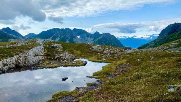 Seward: Helikoptertour mit Alpenwanderung und Picknick