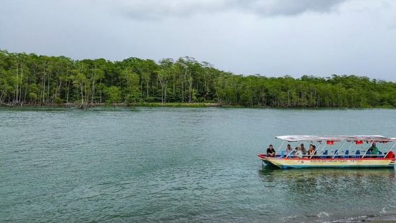 Chuyến tham quan bằng thuyền rừng ngập mặn Manuel Antonio