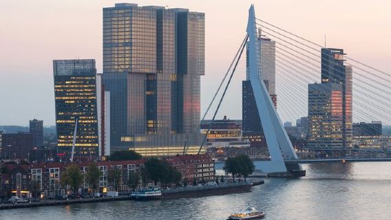 Rotterdam Grand South Holland Private Tour with The Hague & Delft