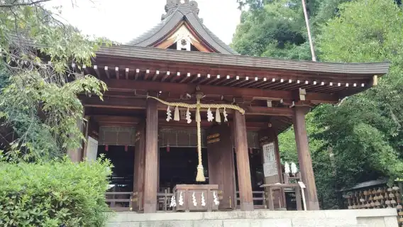 Nara: Asuka, Ancient Capital & Future Heritage Private Tour