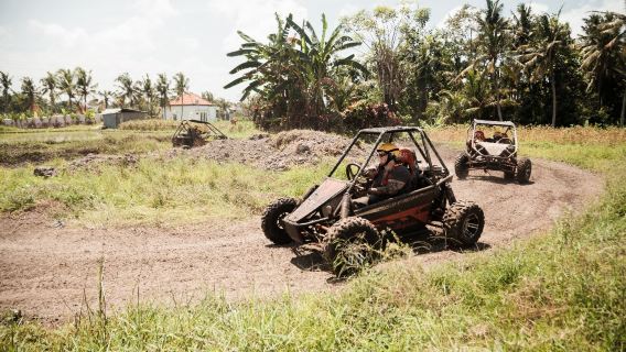 Bali: Aventura en buggy con comida y opción de rafting en el río Ayung