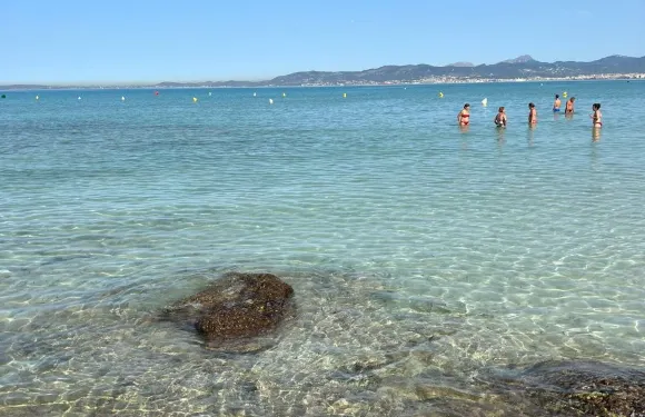 馬略卡島帕爾馬果凍海一日遊【帕爾馬果凍海】