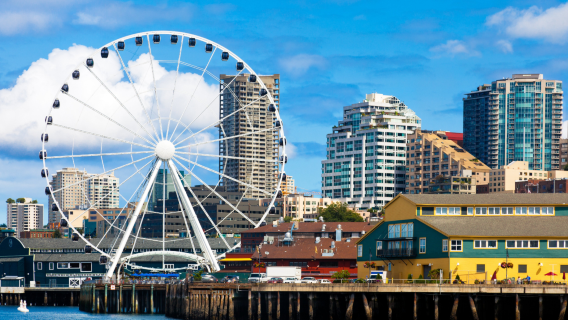 Private charter day tour: Ferris wheel + art museum + Pike Place Fish Market + Space Needle + Chihuly Garden and Glass